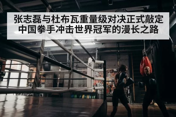 boxer training gym